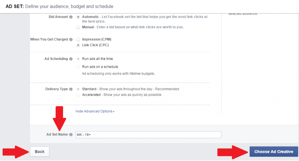 adsManager-budget5