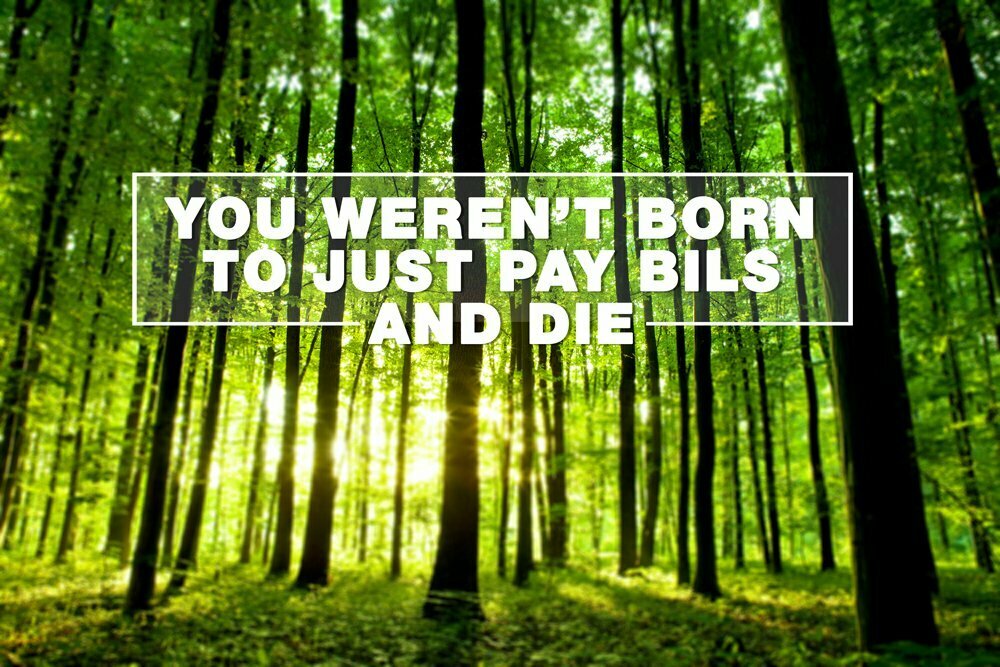 живот, професија, работа, вработување